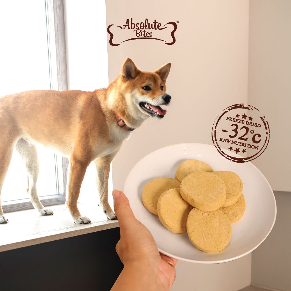 37% OFF: Absolute Bites Lamb Freeze-Dried Raw Patties Dog Food 14oz