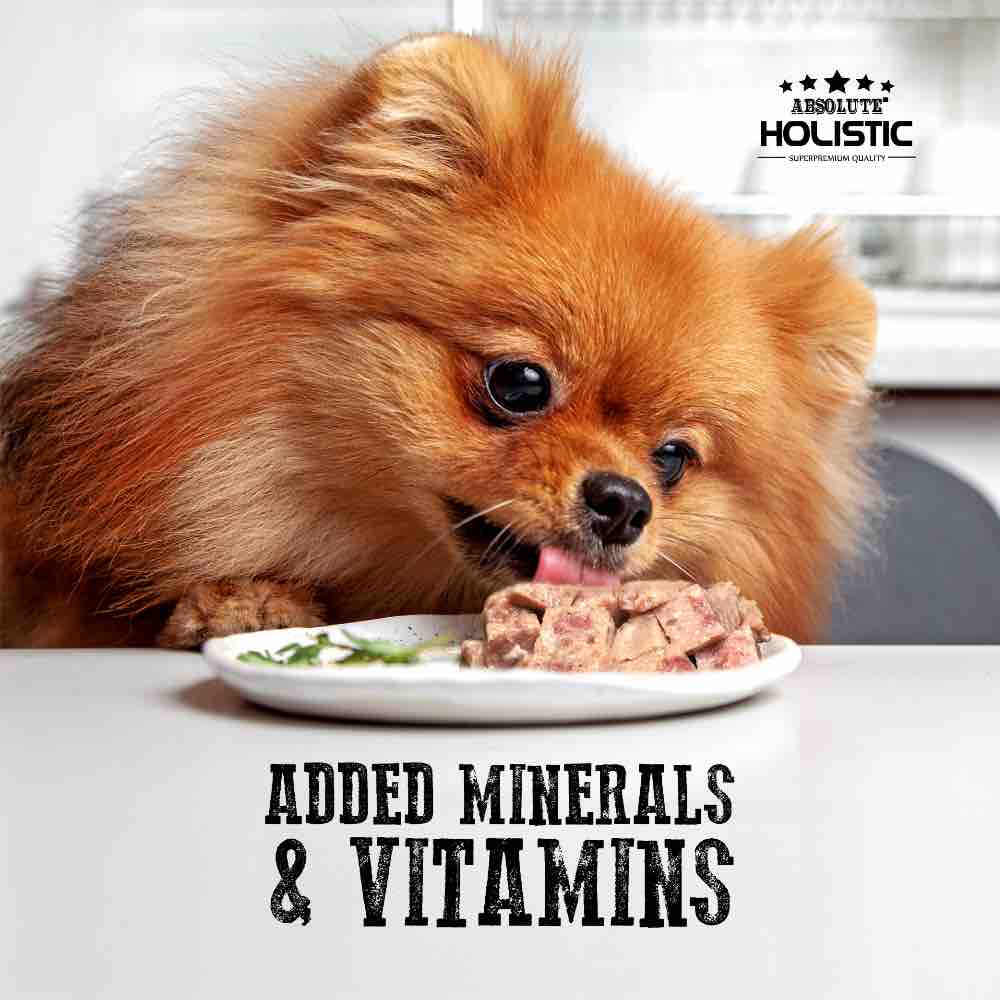 Absolute Holistic Chicken Complete & Balanced Meaty Loaf Wet Tray Dog Food 100g