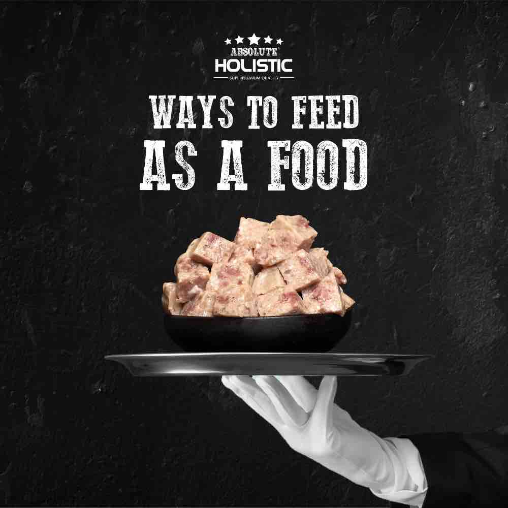 Absolute Holistic Chicken Complete & Balanced Meaty Loaf Wet Tray Dog Food 100g