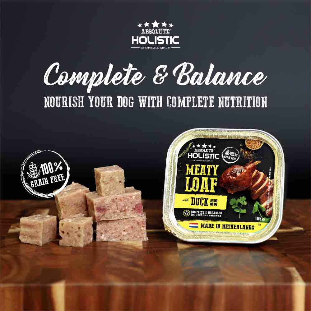 Absolute Holistic Duck Complete & Balanced Meaty Loaf Wet Tray Dog Food 100g