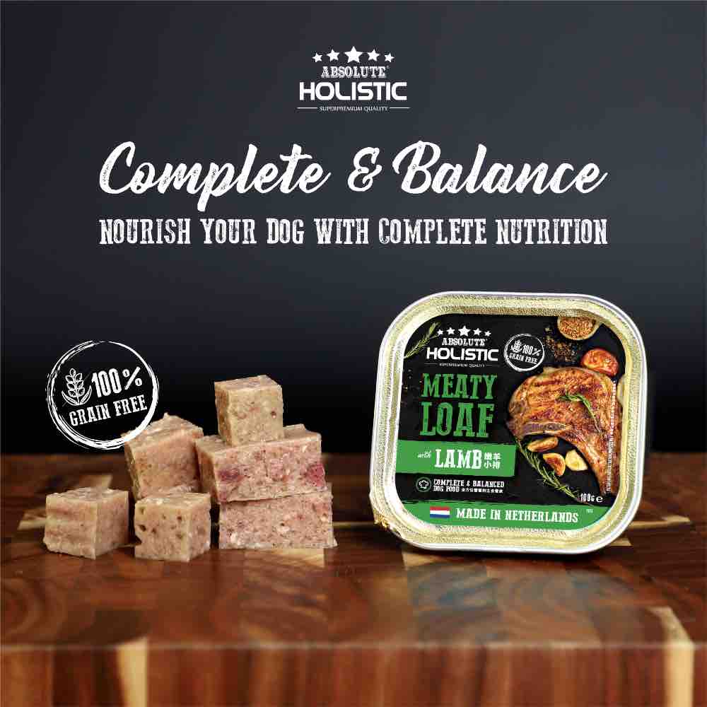 Absolute Holistic Lamb Complete & Balanced Meaty Loaf Wet Tray Dog Food 100g