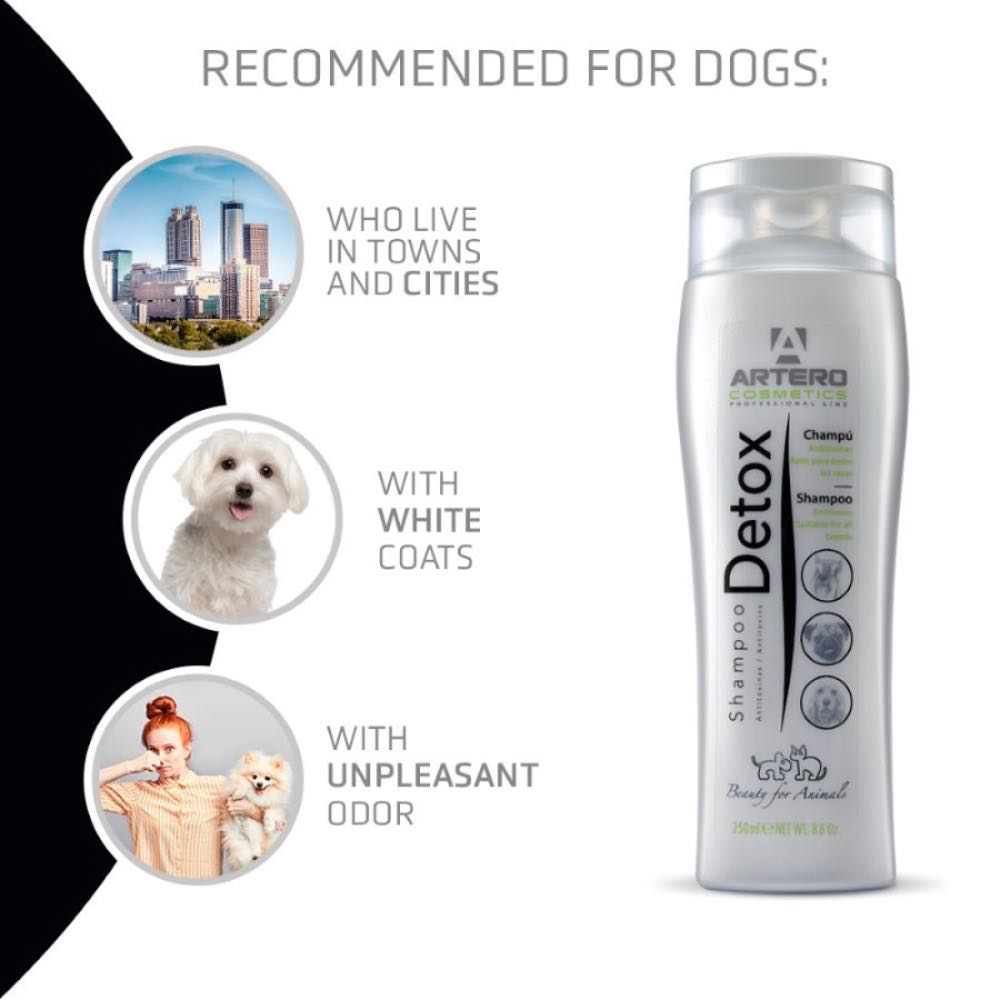 Artero Detox Shampoo